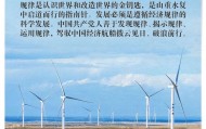 四中全会召开前夕,新华社连续播发五篇述评