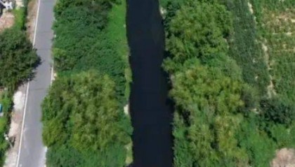 去年整改过的“黑水河”,今年怎么又黑了? | 新京报快评