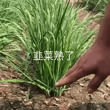 “ 人在币圈混，三天饿九顿<strong></p>
<p>币圈千里</strong>。​”