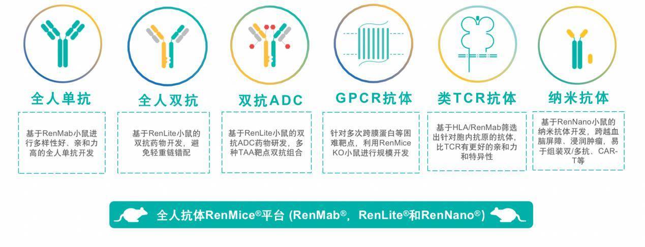 百奥赛图启动科创板IPO辅导 布局抗体药开发全产业链