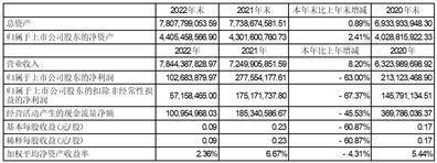 海联金汇科技股份有限公司2022年度报告摘要