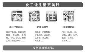 卫星化学股份有限公司2022年度报告摘要