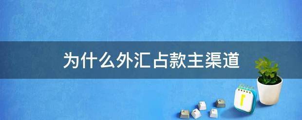 为什么外汇占款主渠道