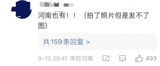 讨论激烈<strong></p>
<p>UFO</strong>！“外星生物”“UFO”先后冲上热搜第一