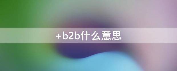 b2b什么意思