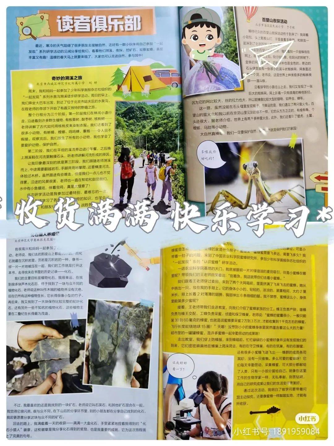 龟甲、沙葱萤叶甲、土蝽……要去昆虫圣地寻找鹿角花金龟啦<strong></p>
<p>金龟</strong>！