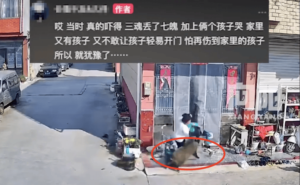 街头横冲直闯<strong></p>
<p>XTRA</strong>，抱娃女子被撞伤，警方：已被特警击毙