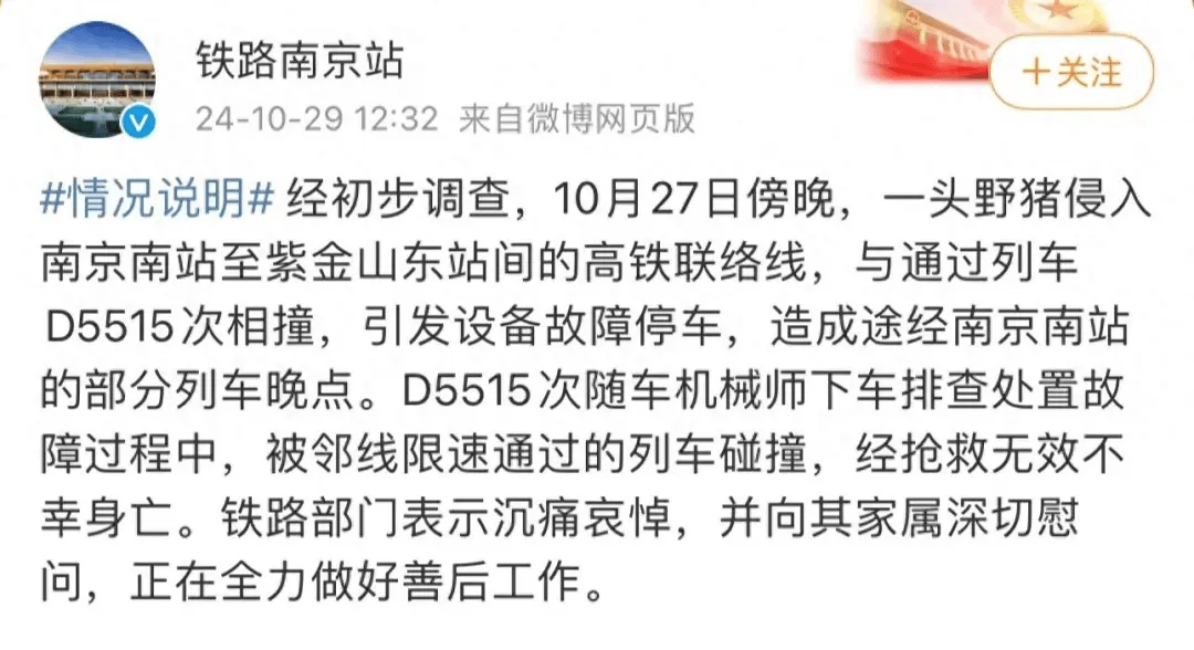 街头横冲直闯<strong></p>
<p>XTRA</strong>，抱娃女子被撞伤，警方：已被特警击毙