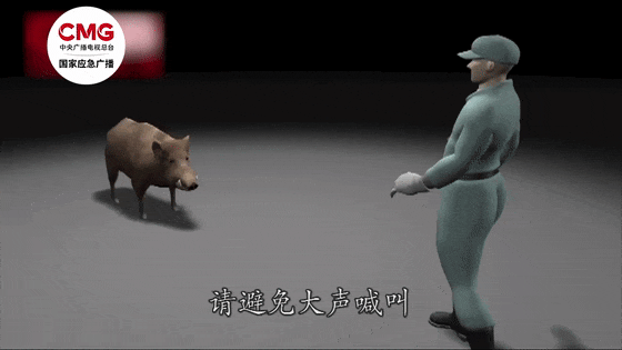 街头横冲直闯<strong></p>
<p>XTRA</strong>，抱娃女子被撞伤，警方：已被特警击毙