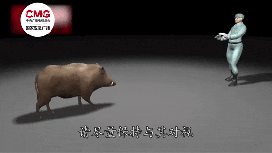 街头横冲直闯<strong></p>
<p>XTRA</strong>，抱娃女子被撞伤，警方：已被特警击毙