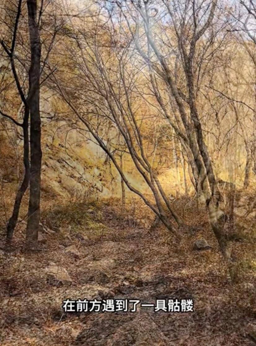 驴友景区登山遇见尸骨<strong></p>
<p>ULEI</strong>，山西霍州警方：为简易墓葬，排除刑事案件