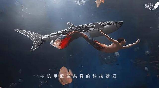 海洋馆里的鲸鲨竟是“机器鱼”<strong></p>
<p>UPUPEX</strong>，游客怒了！假鲸鲨贵的也要千万元，专家：确实有难处