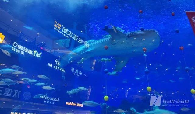 海洋馆里的鲸鲨竟是“机器鱼”<strong></p>
<p>UPUPEX</strong>，游客怒了！假鲸鲨贵的也要千万元，专家：确实有难处