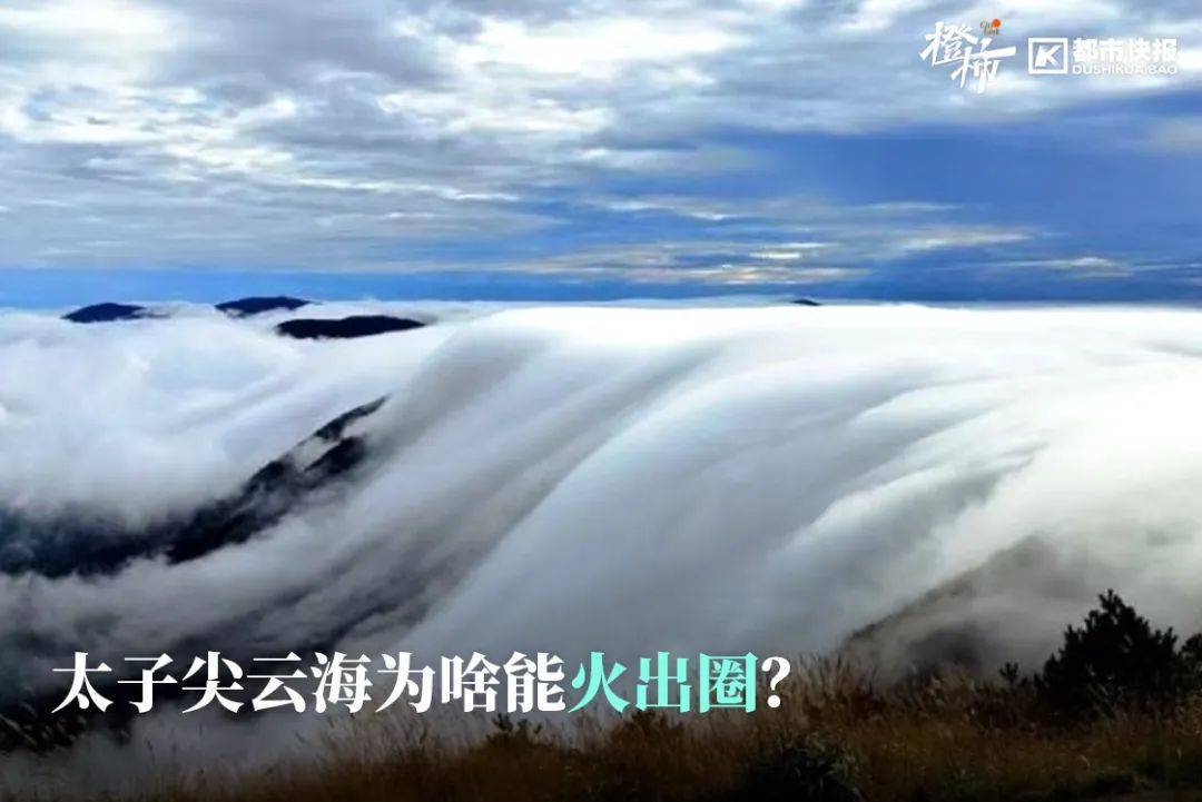 “来都来了<strong></p>
<p>TTFONE</strong>，那就查一个吧”，浙江男子意外查出癌
