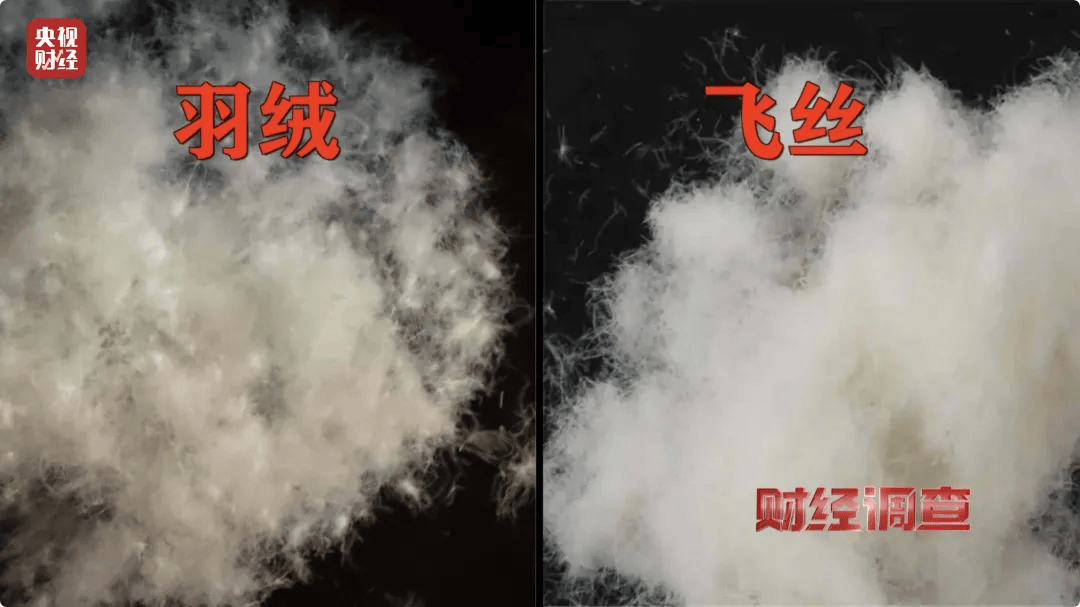 热搜第一<strong></p>
<p>波特全球站</strong>！7万件羽绒服含绒量0%！央视曝光：羽绒被也是假的！当地最新通报→