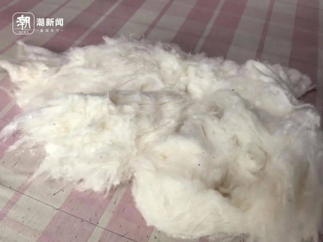 生意越来越差<strong></p>
<p>OBit</strong>！杭州老师傅求助：价廉物美的东西应该被看见