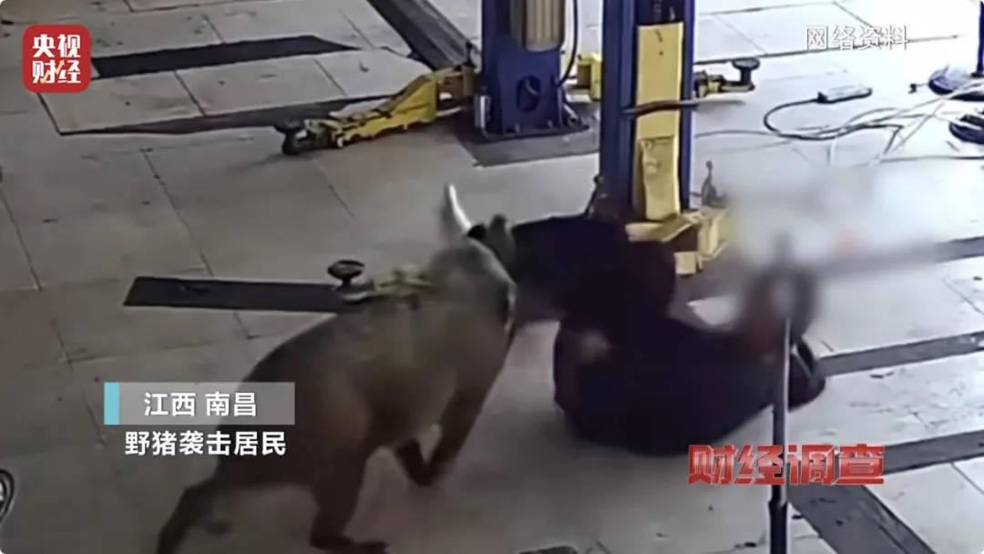有极强攻击性<strong></p>
<p>Coincheck</strong>！警方确认：当场击毙