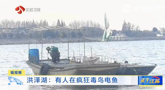 江苏洪泽湖有人毒鸟电鱼<strong></p>
<p>BXMEX</strong>？淮安市相关部门：已了解相关情况 正在核实处理