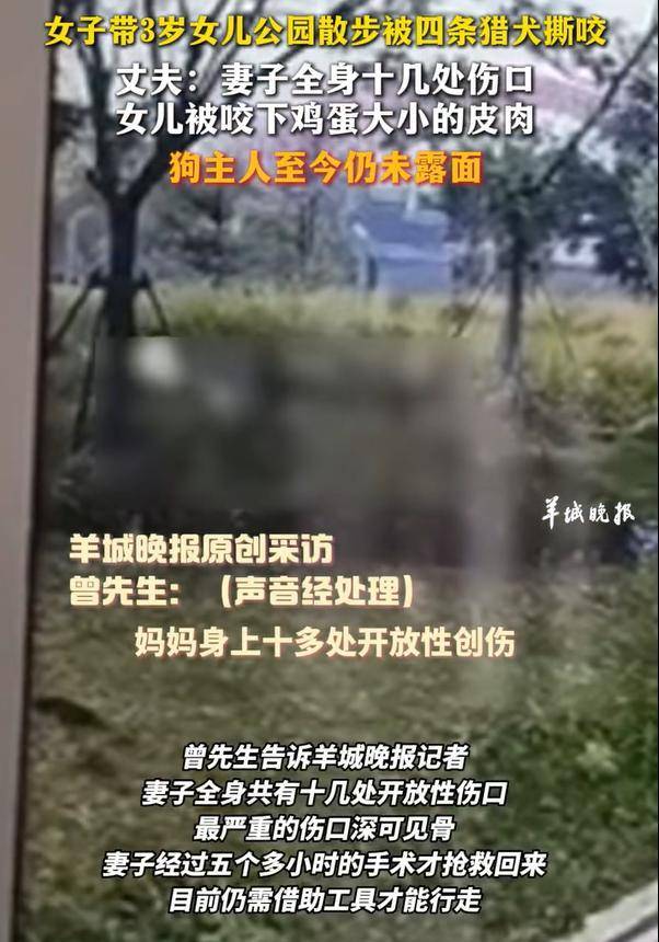 热闻|母女公园散步遭四条大型犬撕咬！家属：狗主人以没钱为由<strong></p>
<p>BHbank</strong>，至今未露面，治疗费用也未偿清