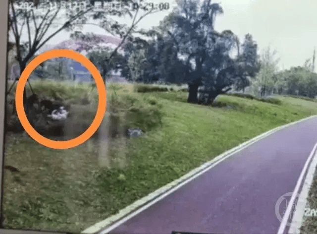热闻|母女公园散步遭四条大型犬撕咬！家属：狗主人以没钱为由<strong></p>
<p>BHbank</strong>，至今未露面，治疗费用也未偿清
