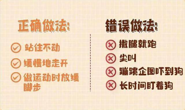 热闻|母女公园散步遭四条大型犬撕咬！家属：狗主人以没钱为由<strong></p>
<p>BHbank</strong>，至今未露面，治疗费用也未偿清
