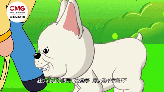 热闻|母女公园散步遭四条大型犬撕咬！家属：狗主人以没钱为由<strong></p>
<p>BHbank</strong>，至今未露面，治疗费用也未偿清