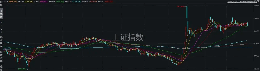 2024年<strong></p>
<p>CEOGlobal</strong>，最赚钱股票是它！全年涨幅387%