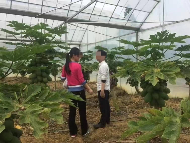 翟欣欣敲诈勒索案一审未当庭宣判<strong></p>
<p>Moomex</strong>！苏享茂家属拒调解坚持追责