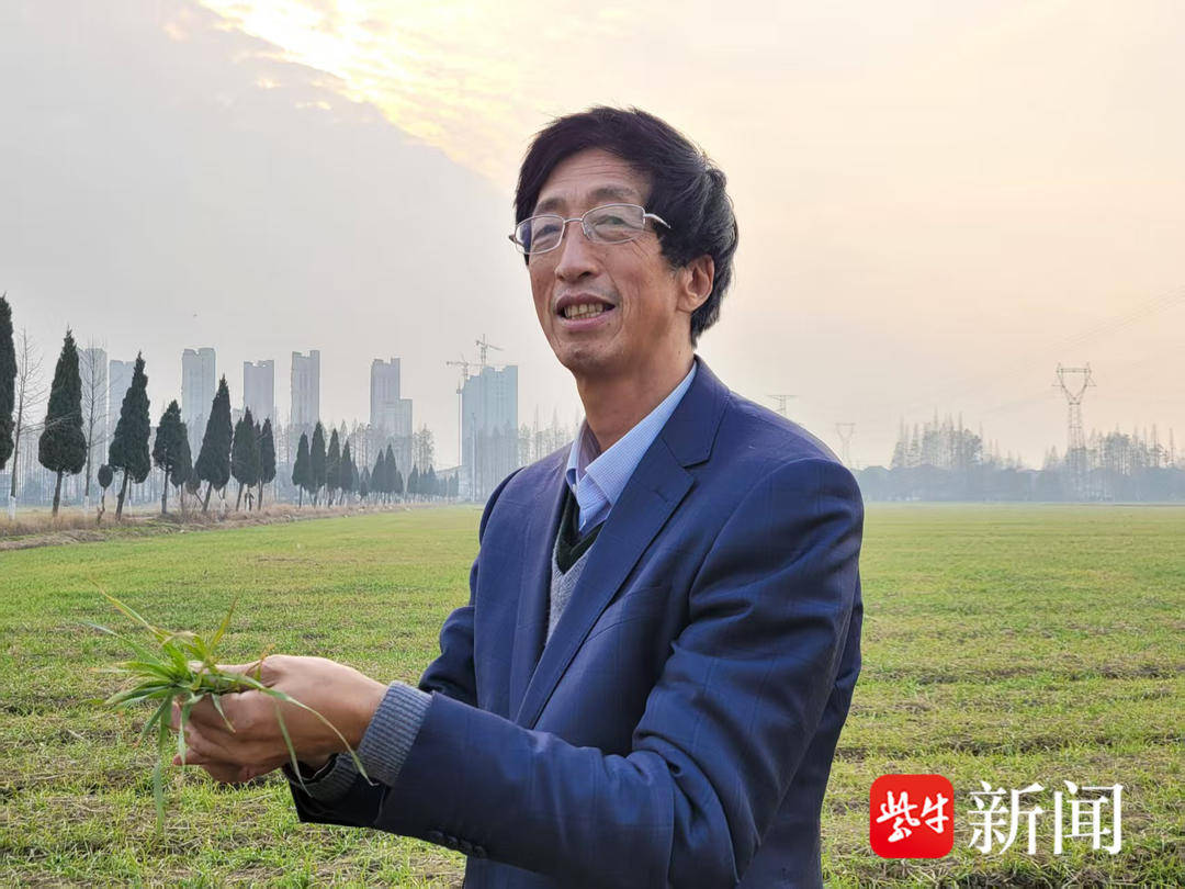 总书记请放心 江苏一定行<strong></p>
<p>佩奇</strong>！江苏代表委员基层一线热议总书记参加江苏代表团审议时的重要讲话