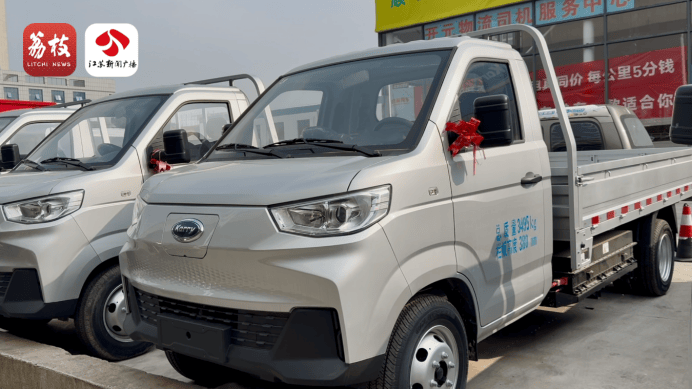 新能源车提车3天自燃烧成废铁<strong></p>
<p>股份</strong>，厂家：去起诉吧！
