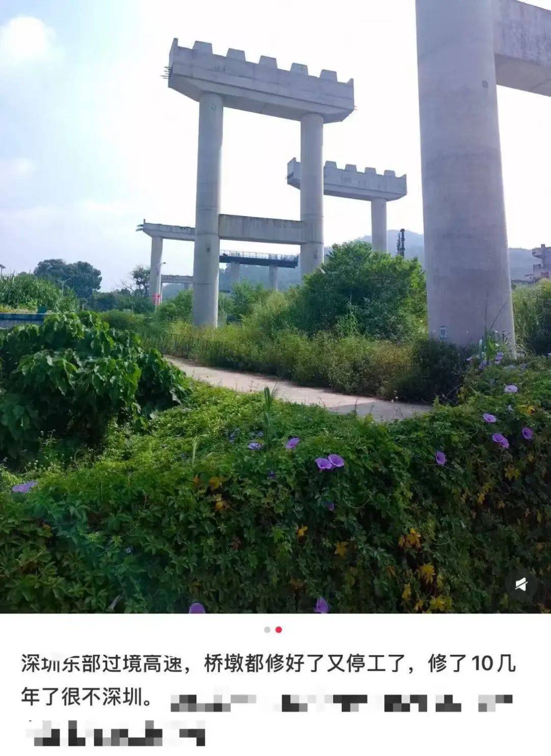 一度被传"烂尾"！盼了15年的深圳东部过境高速<strong></p>
<p>货币发行</strong>，终于等来官宣推进