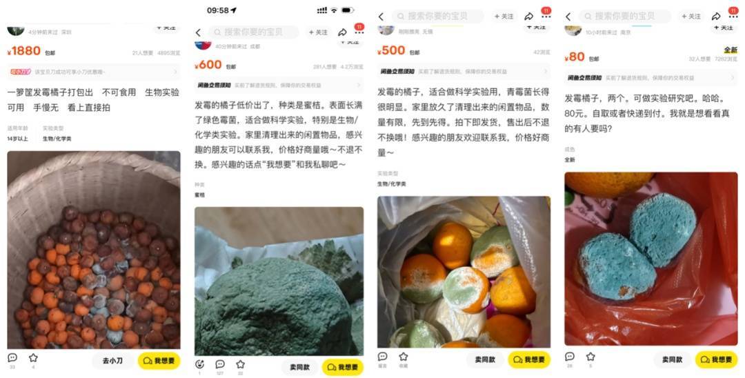 突然火了<strong></p>
<p>货币发行</strong>！有人卖500元一个！网友：后悔扔了……
