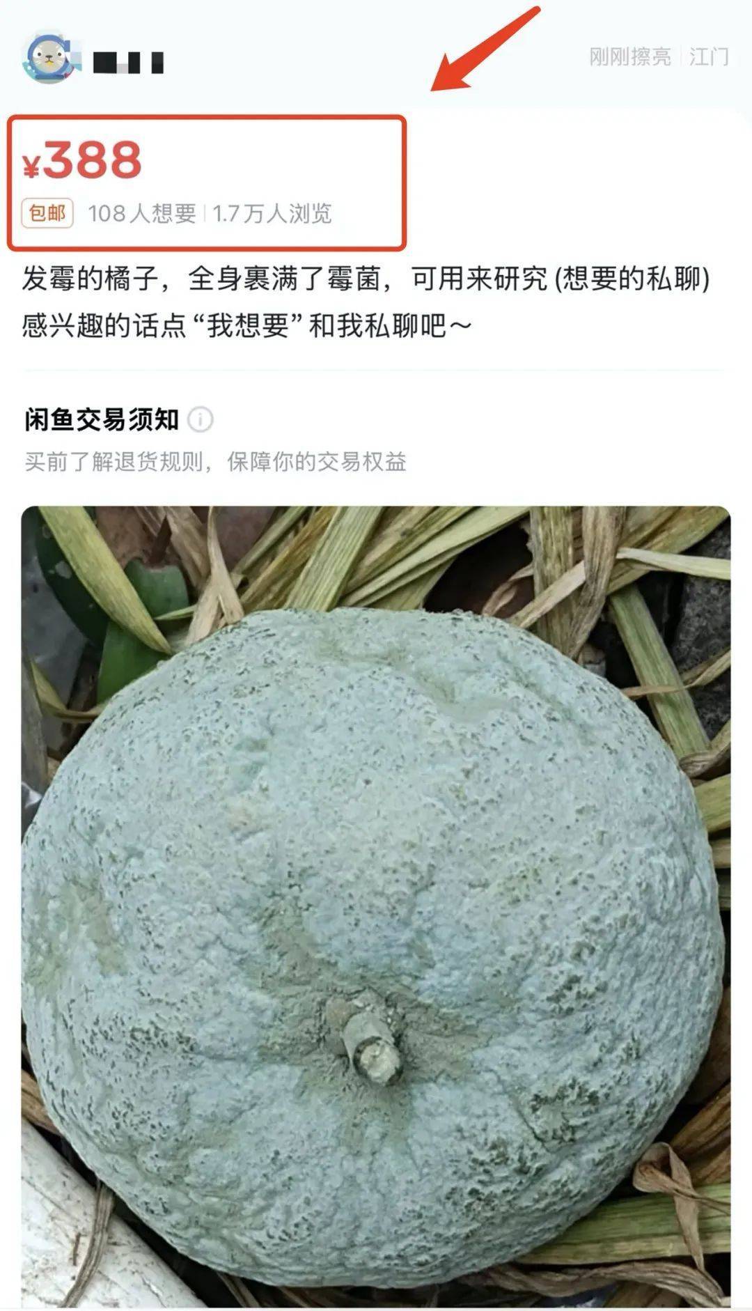 突然火了<strong></p>
<p>货币发行</strong>！有人卖500元一个！网友：后悔扔了……