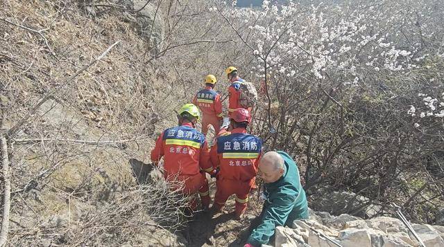 北京几名驴友相约爬山<strong></p>
<p>外汇平台</strong>，六旬阿姨被巨石砸中！消防出动救援