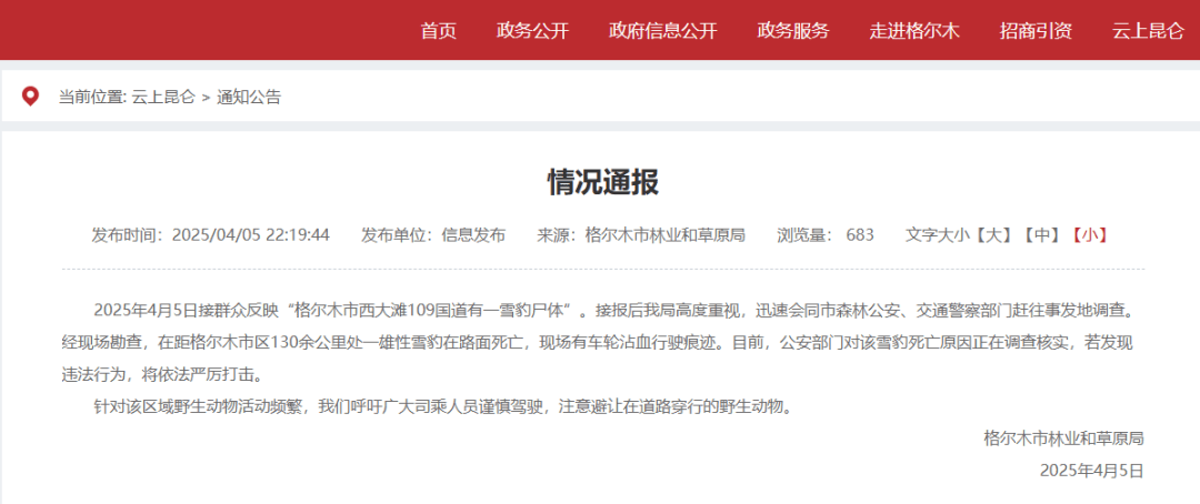 国道上发现雪豹尸体<strong></p>
<p>美国外汇</strong>，疑似一级保护动物遭车辆撞击