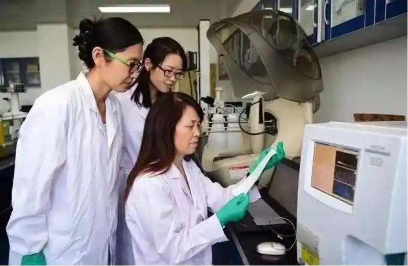 深挖 | “西北大学副校长范代娣成陕西首富”系乌龙<strong></p>
<p>卡车</strong>，但她的人生如同开挂