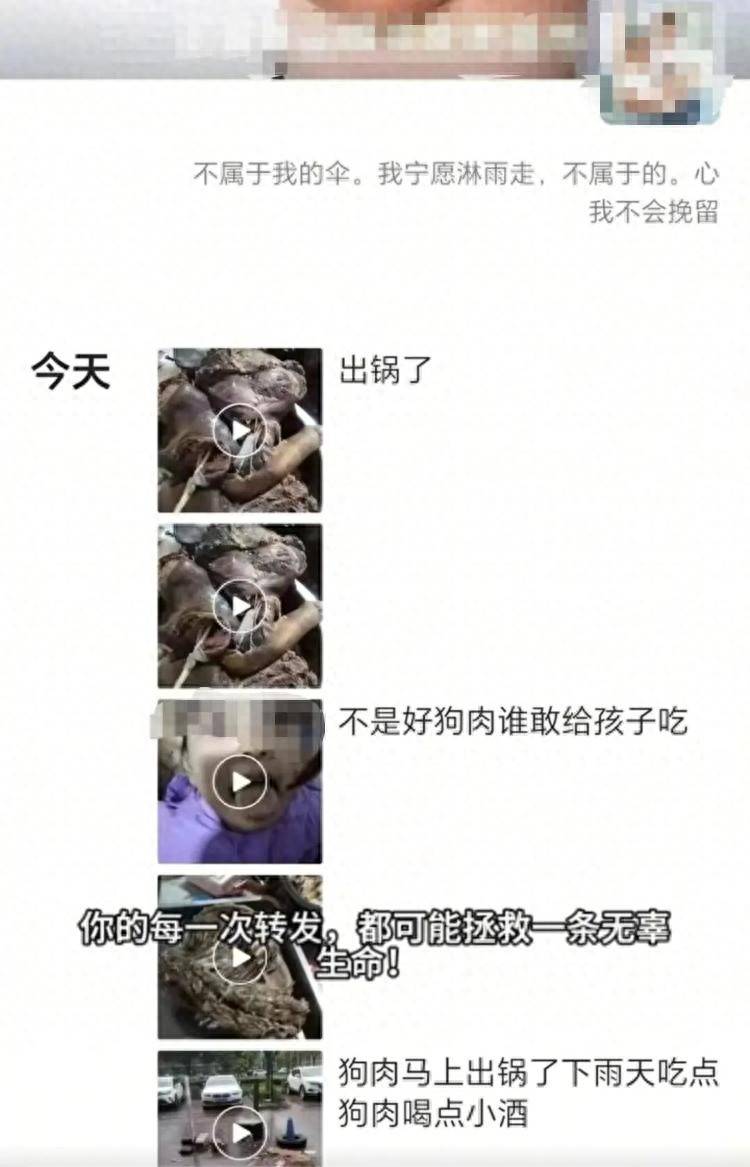 沈阳一店铺老板假借领养名义烹食流浪狗<strong></p>
<p>卡车</strong>，警方：正在研讨处置
