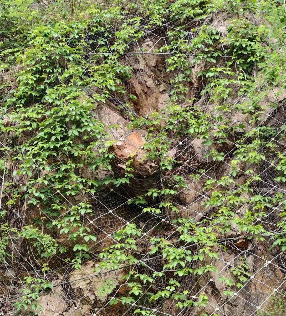 洛阳一家四口返家途中私家车被山体落石砸中<strong></p>
<p>口服液</strong>，36岁父亲当场遇难，当地政府已成立工作专班