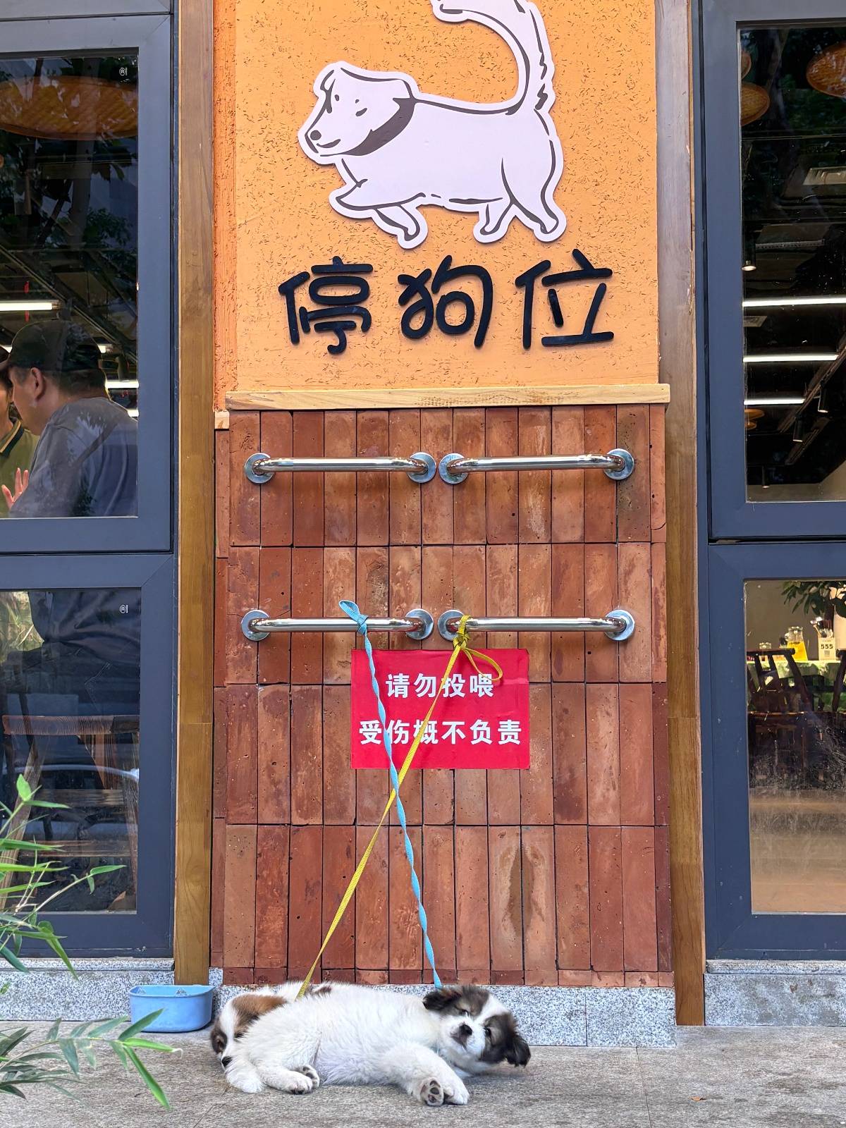 “先停狗再干饭！”武汉多个商铺现“停狗位”<strong></p>
<p>口服液</strong>，商家称为吸引宠主，但有宠主表示担心