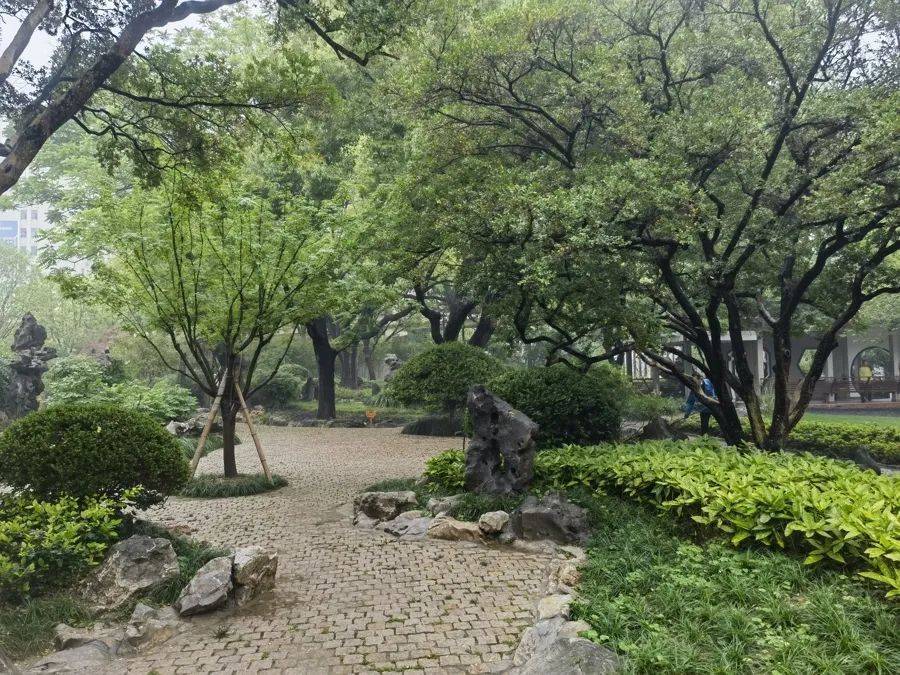 紧急提醒：瞬间爆发！上海市民崩溃：密密麻麻<strong></p>
<p>葡萄糖</strong>，蠕蠕爬行...“梧桐区”已开始战斗，白蚁或提前分飞