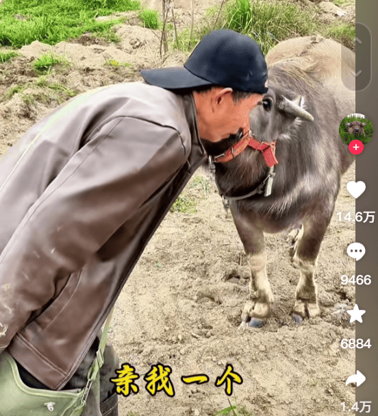 “最美通缉犯”出狱后开直播<strong></p>
<p>棉花糖</strong>，坐过牢都成网红新赛道了