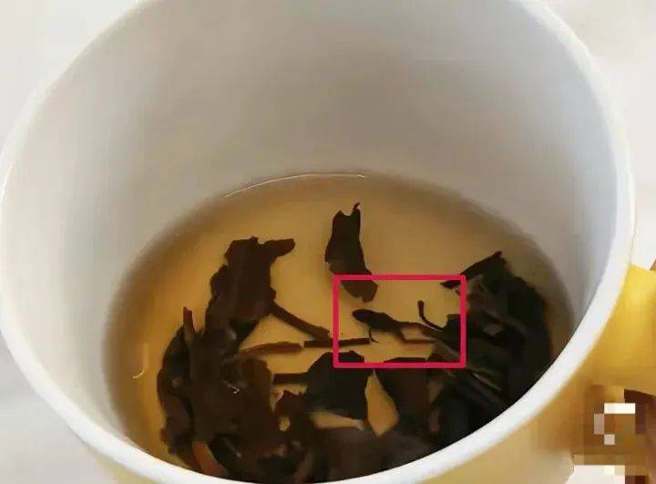 奈雪的茶被曝喝出青蛙<strong></p>
<p>山药</strong>，公司回应：已和消费者协商处理完毕