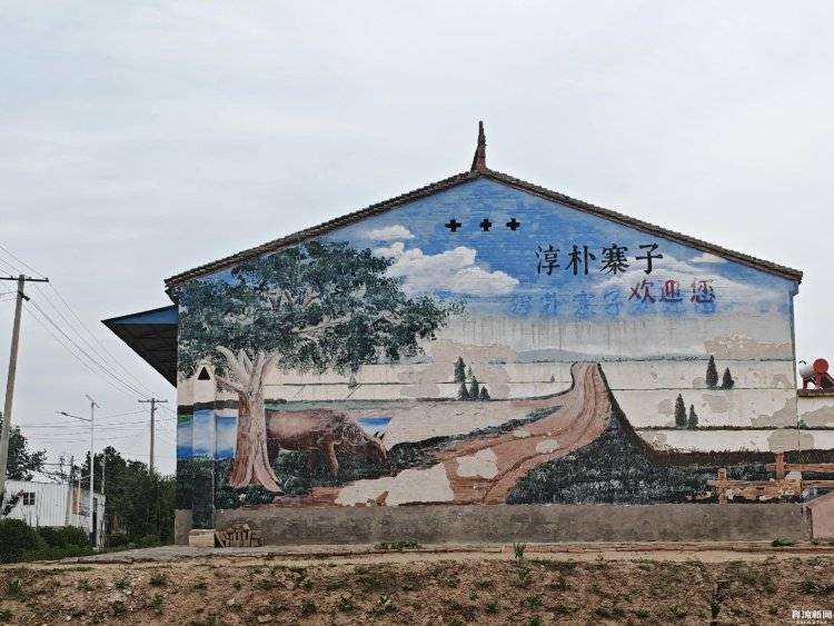 大棚遭断水<strong></p>
<p>鸡枞菌</strong>，蔬菜被哄抢？甘肃一菜农在陕西承包的90座大棚几近绝收