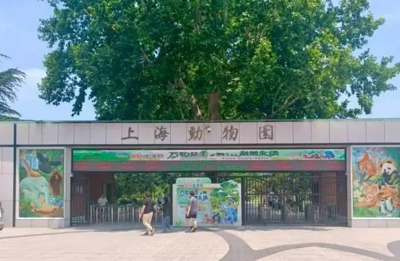10月龄婴儿展馆内喝奶被赶出<strong></p>
<p>鸡枞菌</strong>，上海动物园称做法合规，客服：暂未接到增设母婴室通知