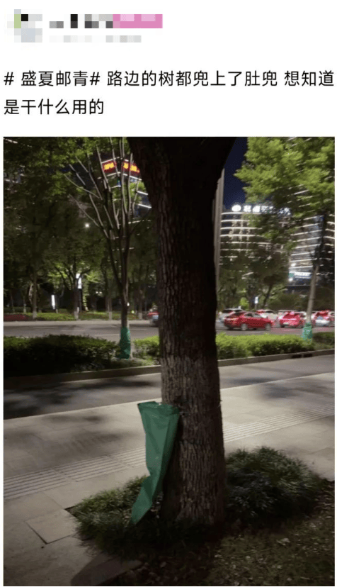 40℃连击<strong></p>
<p>okex认证</strong>！杭州街头突现“绿肚兜”！市民：给我也来一个就好了…