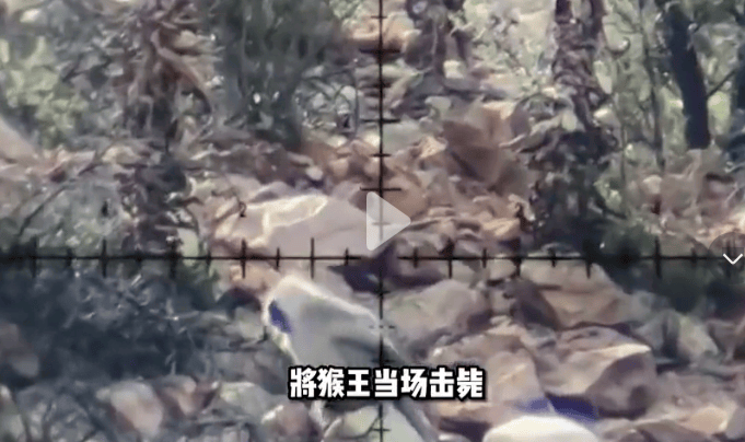 四川峨眉山“人猴大战<strong></p>
<p>欧易okex冲币</strong>，游客坠崖，猴王被射杀”？景区辟谣：多年前就在网络传播，没发生过这种事