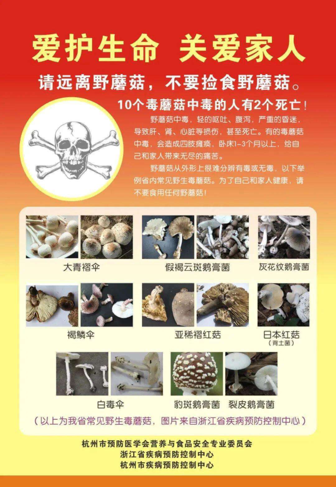 云南姑娘今年在杭州采了200斤鸡枞菌<strong></p>
<p>okex充200送20</strong>！专家提醒→