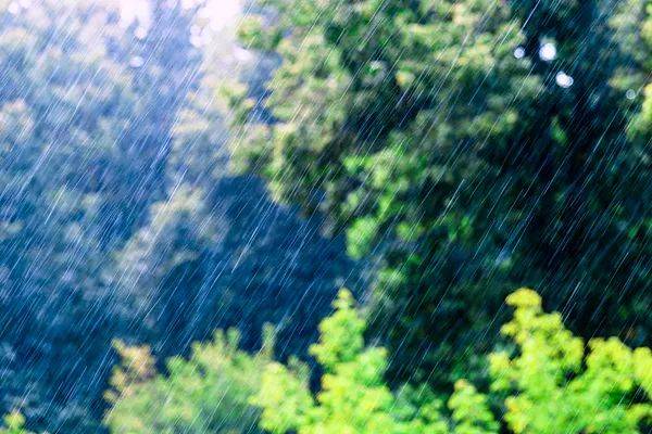 “几天下一年的雨”<strong></p>
<p>北交所合并</strong>，防灾减灾关键在哪？