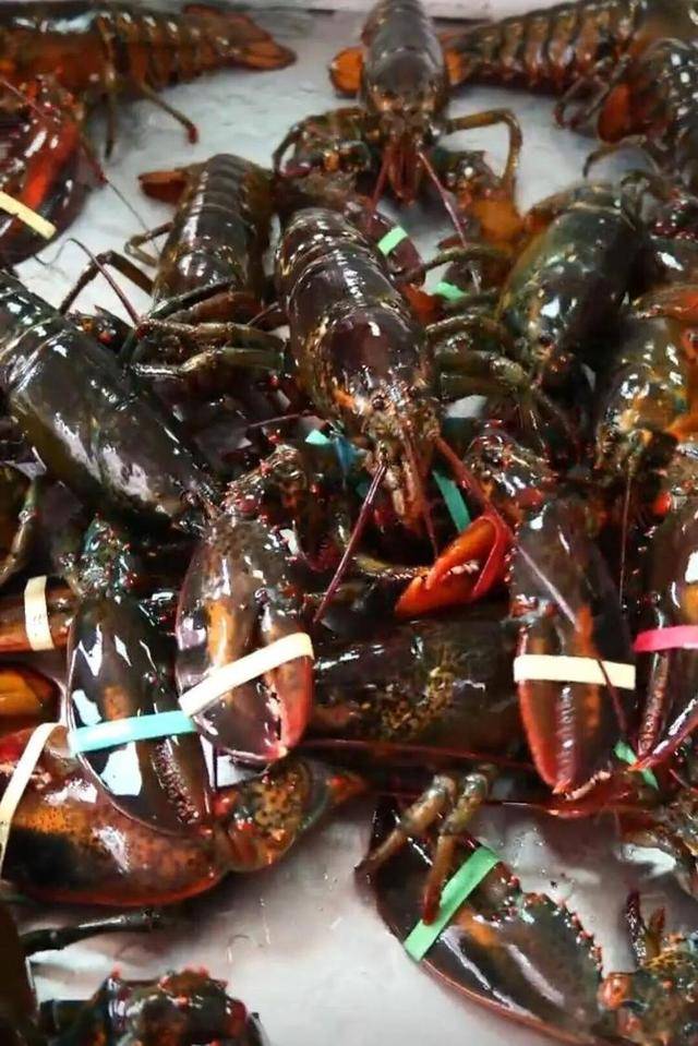 一天20元餐费能吃到龙虾、鲍鱼、海参……河南一幼儿园餐食走红<strong></p>
<p>火币shib提币</strong>，网友称堪比星级酒店