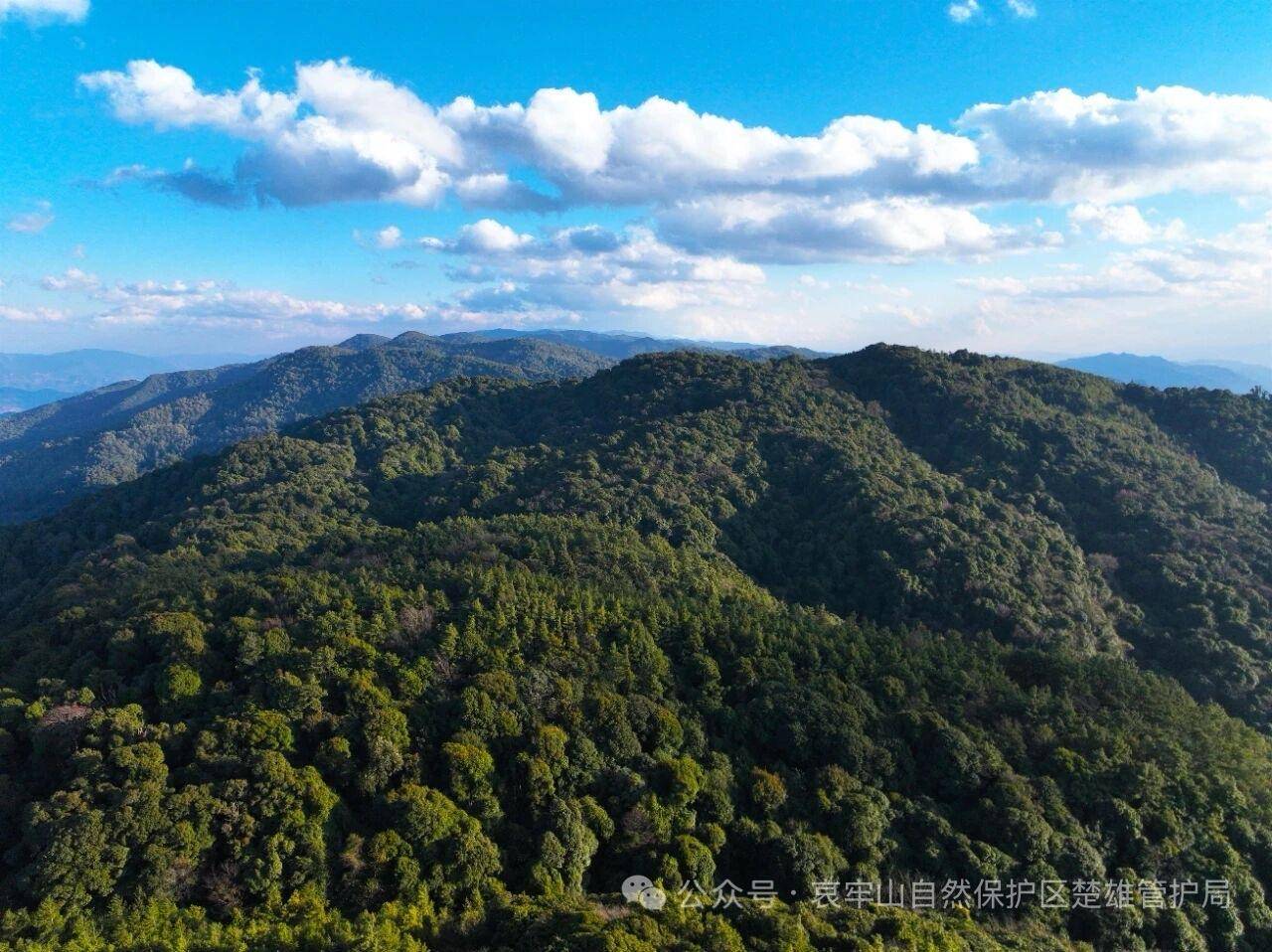 云南哀牢山新规出台：禁止任何单位和个人擅入哀牢山自然保护区<strong></p>
<p>最新okex网</strong>，从事科研活动须报批